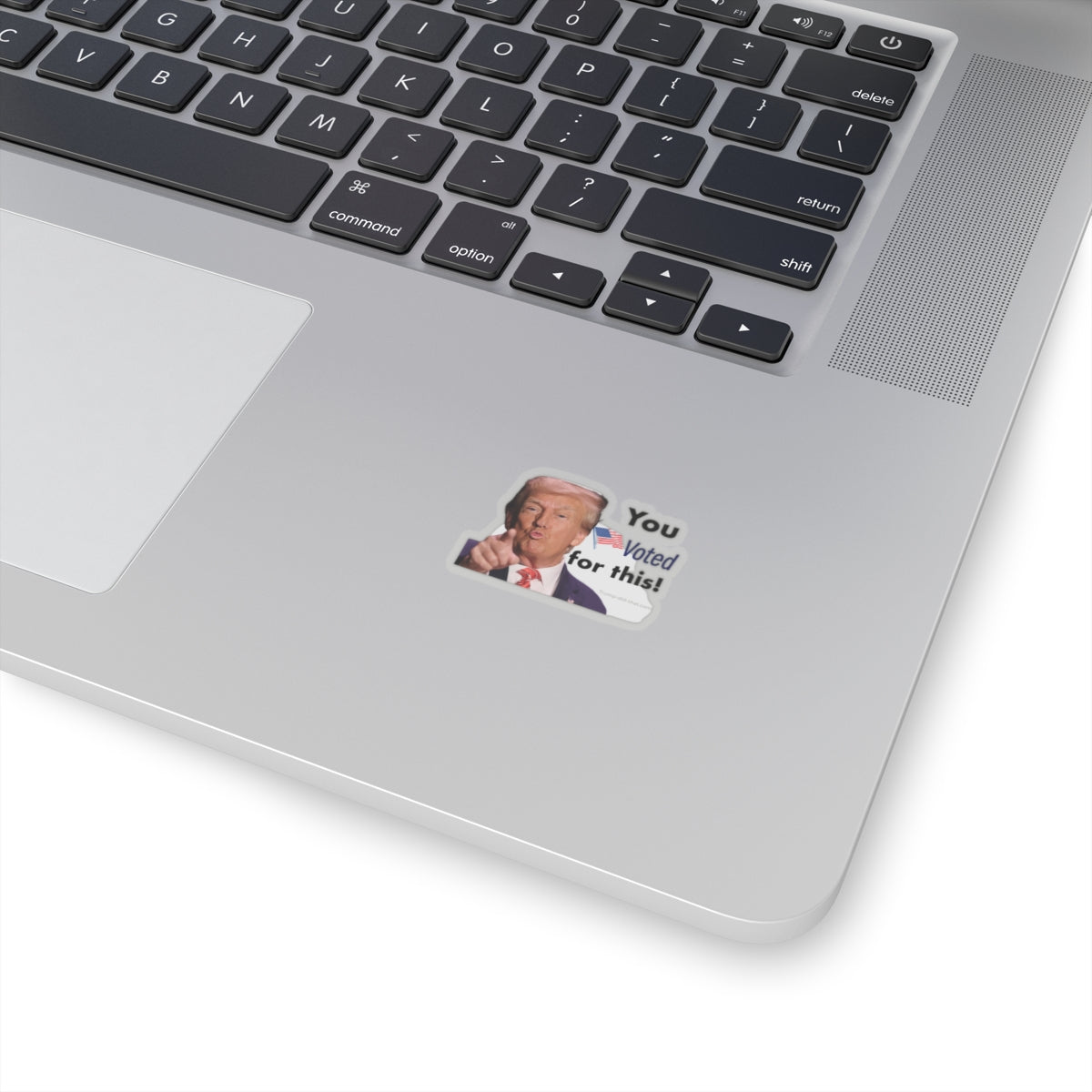 Sticker Set - Presidential Reminder of what people voted for - Trump Did That